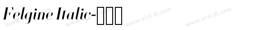 Felgine Italic字体转换